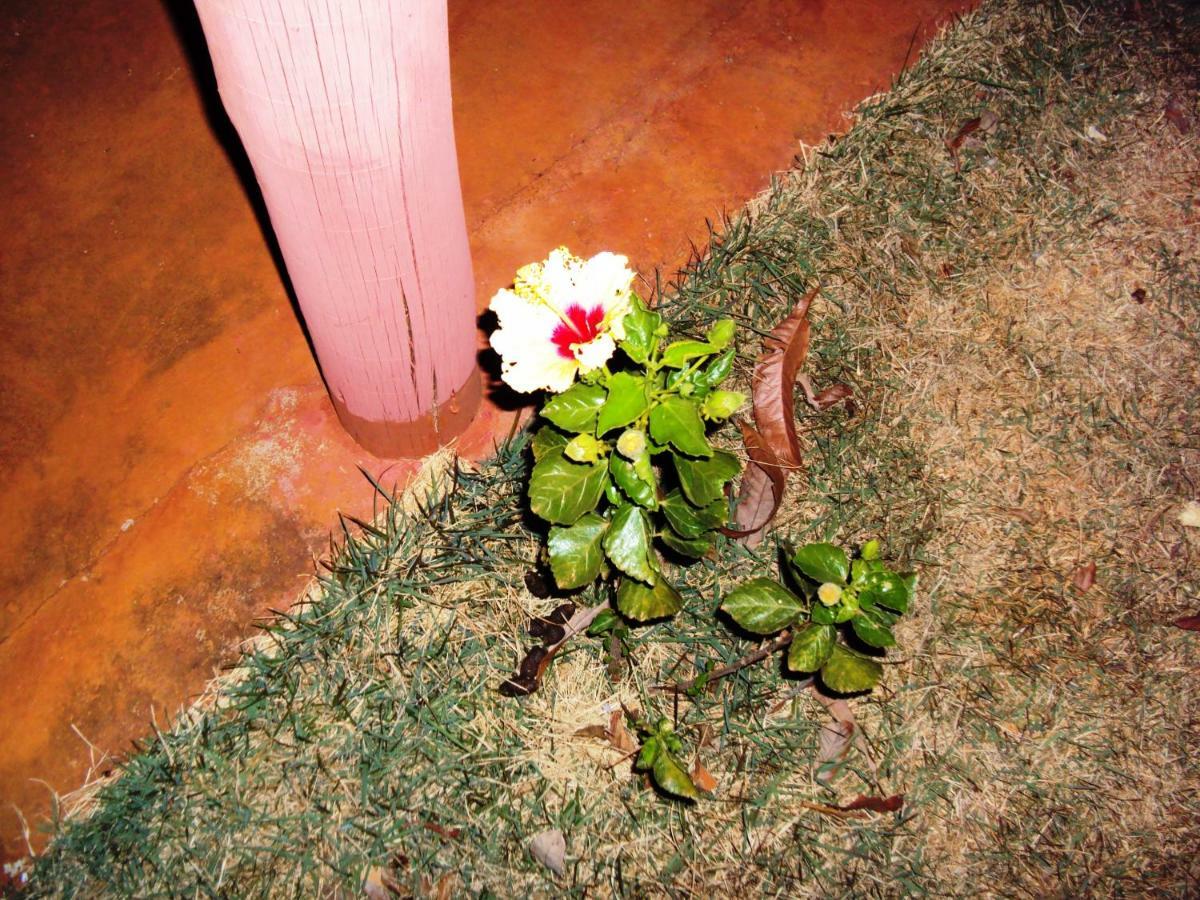 Sitio Sao Benedito Sao Roque de Minas Bagian luar foto